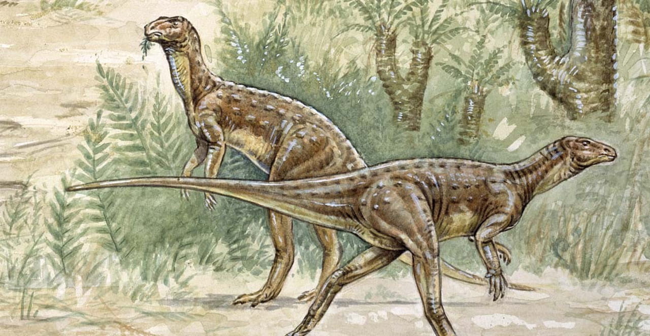 Los cráneos de los primeros dinosaurios muestran cómo los carnívoros se  hicieron vegetarianos